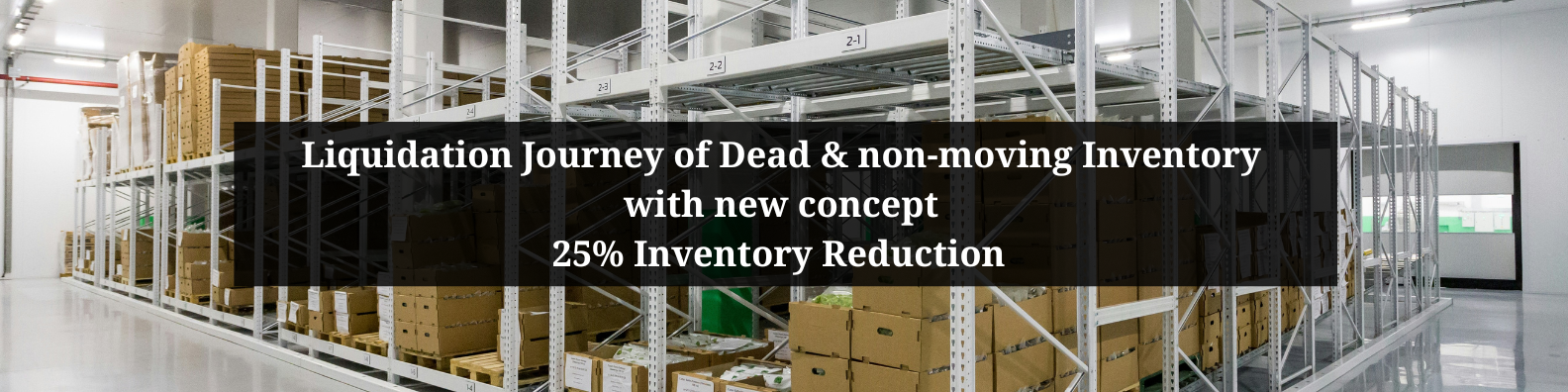 Case Study 2 :  Inventory Liquidation